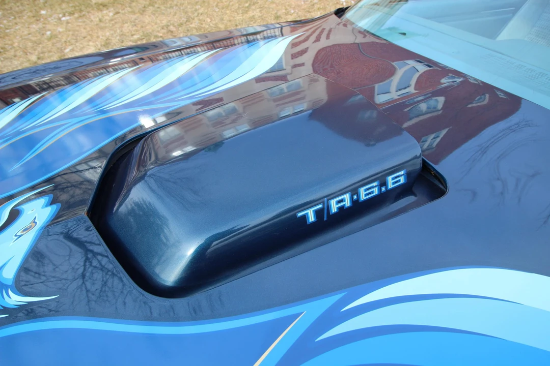 1979 Pontiac Firebird Trans Am 2nd Gen - Image 24 of 31