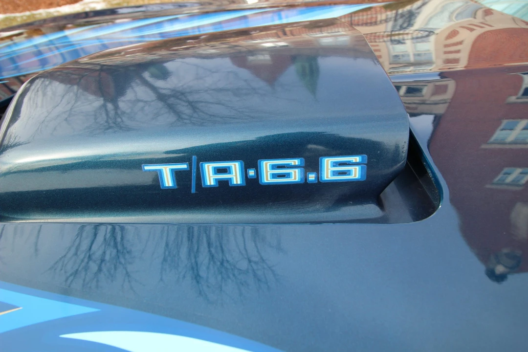 1979 Pontiac Firebird Trans Am 2nd Gen - Image 25 of 31