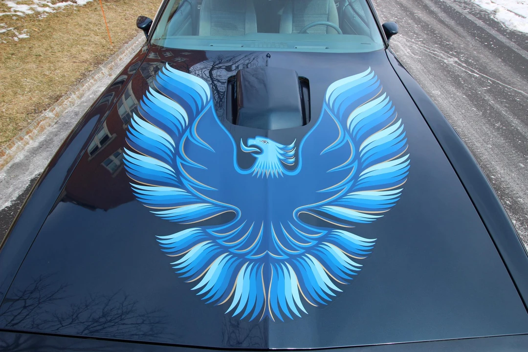 1979 Pontiac Firebird Trans Am 2nd Gen - Image 23 of 31