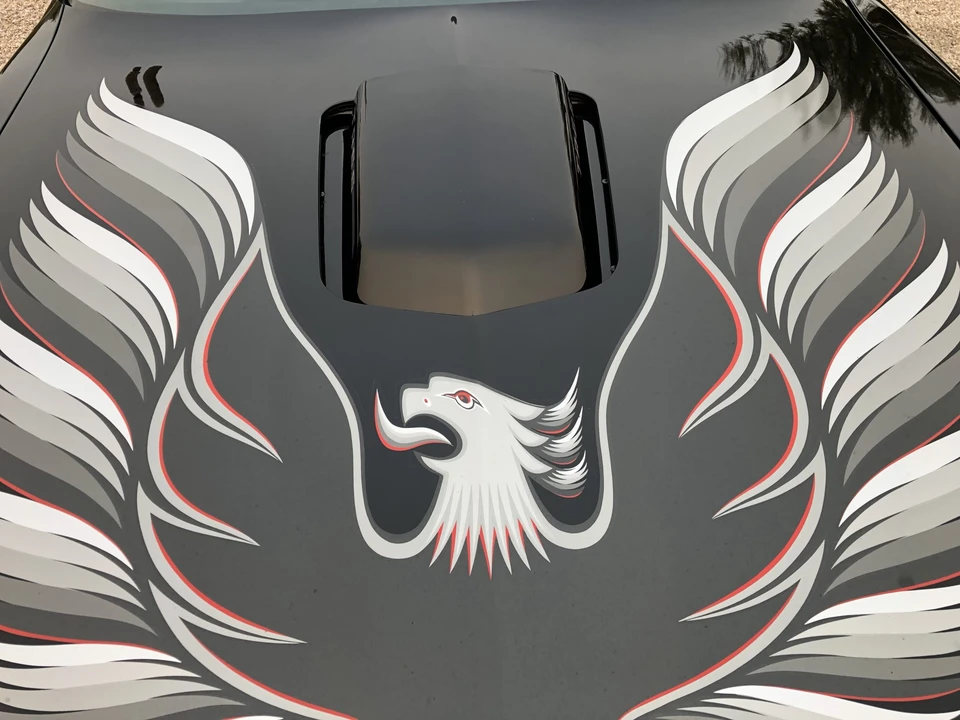 1979 Pontiac Firebird Trans Am 2nd Gen - Image 11 of 31