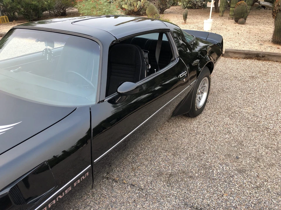 1979 Pontiac Firebird Trans Am 2nd Gen - Image 15 of 31