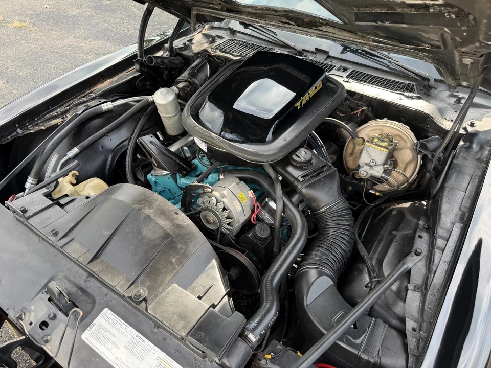 1979 Pontiac Firebird Trans Am 2nd Gen - Image 17 of 19