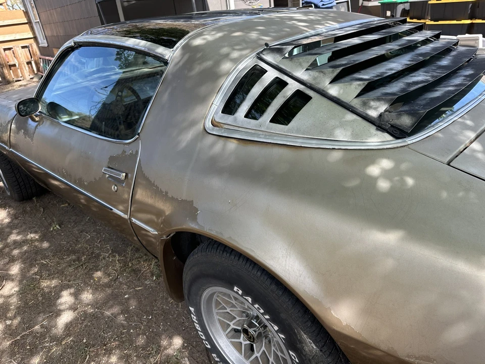 1979 Pontiac Firebird Trans Am 2nd Gen - Image 6 of 26
