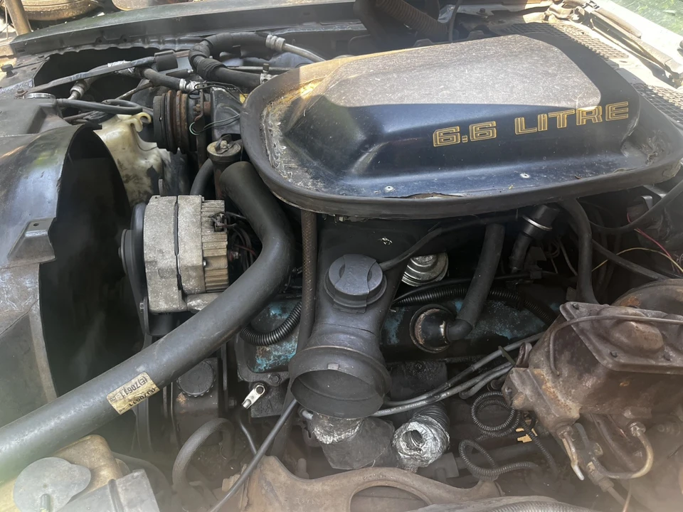1979 Pontiac Firebird Trans Am 2nd Gen - Image 17 of 21