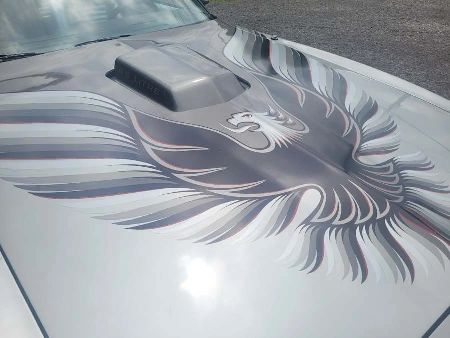 1979 Pontiac Firebird Trans Am 2nd Gen - Image 6 of 20