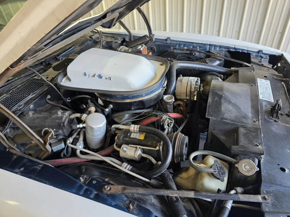 1979 Pontiac Firebird Trans Am 2nd Gen - Image 23 of 31