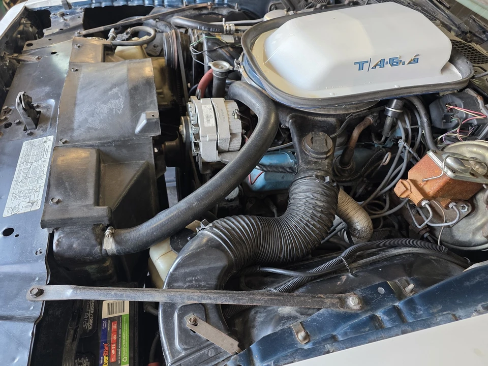 1979 Pontiac Firebird Trans Am 2nd Gen - Image 26 of 31