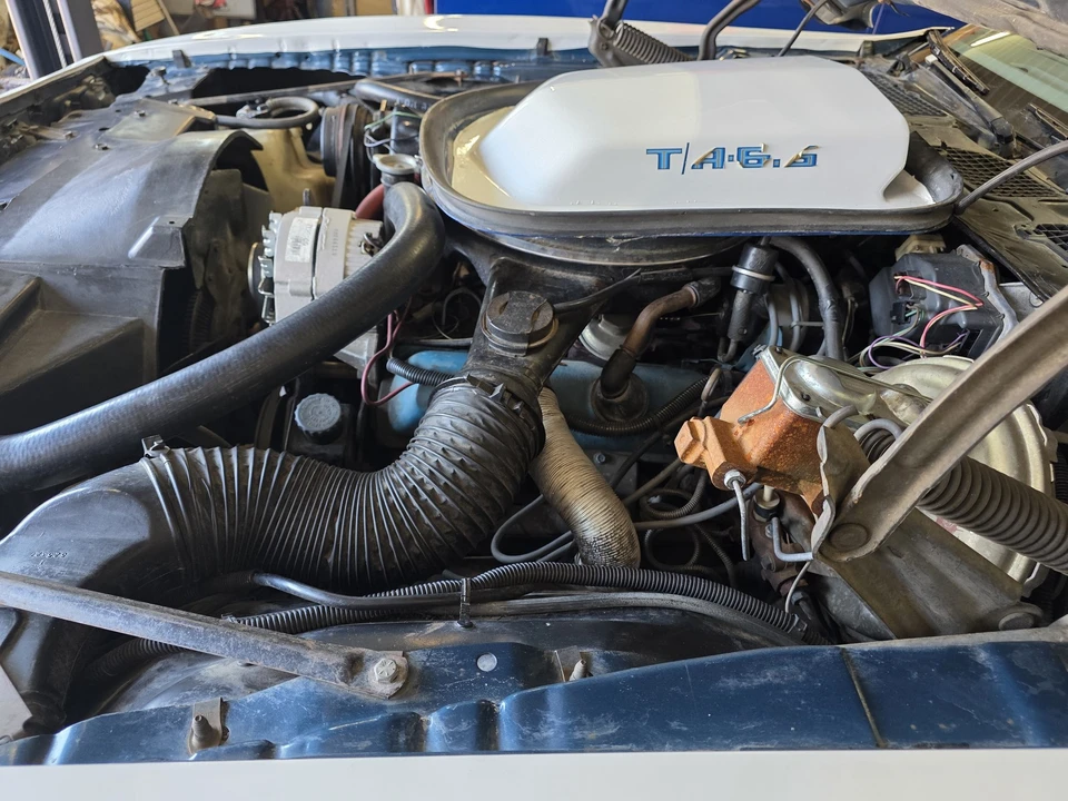 1979 Pontiac Firebird Trans Am 2nd Gen - Image 27 of 31