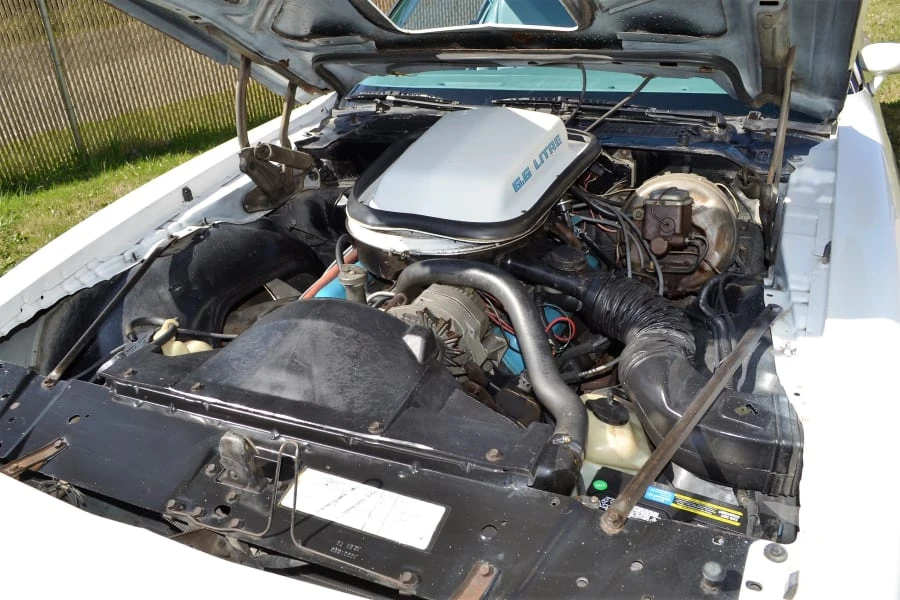 1979 Pontiac Firebird Trans Am 2nd Gen - Image 7 of 12