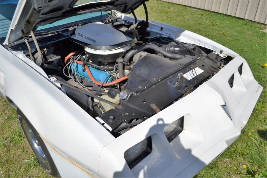 1979 Pontiac Firebird Trans Am 2nd Gen - Image 8 of 12