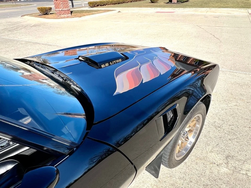 1979 Pontiac Firebird Trans Am 2nd Gen - Image 28 of 31