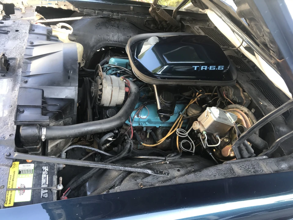 1979 Pontiac Firebird Trans Am 2nd Gen - Image 27 of 31