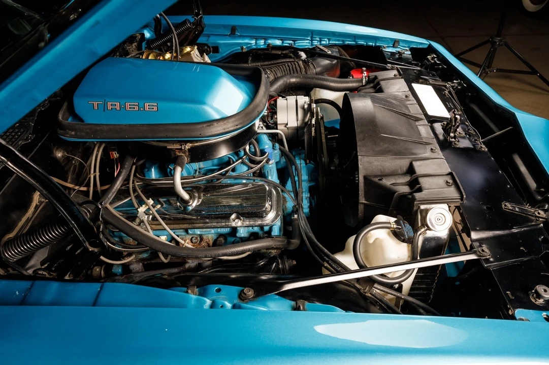 1979 Pontiac Firebird Trans Am 2nd Gen - Image 20 of 31