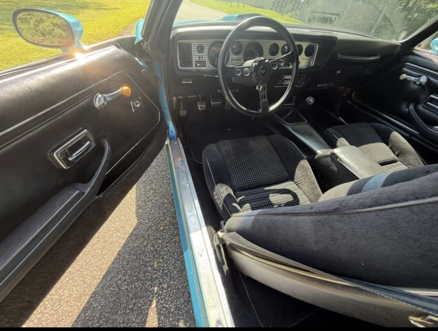 1979 Pontiac Firebird Trans Am 2nd Gen - Image 10 of 11