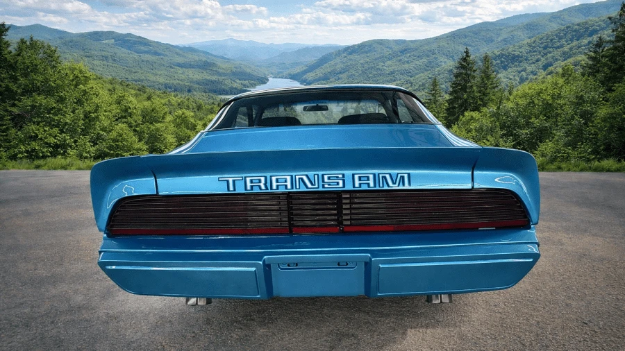 1979 Pontiac Firebird Trans Am 2nd Gen - Image 4 of 11