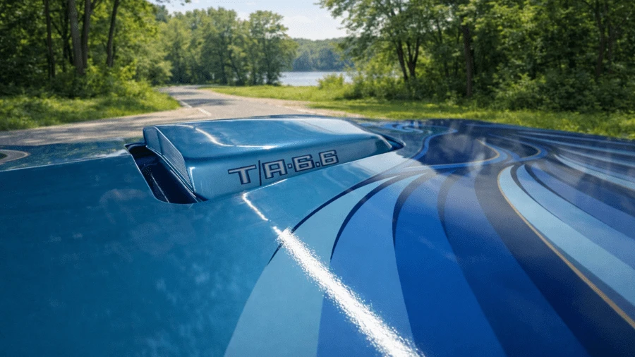 1979 Pontiac Firebird Trans Am 2nd Gen - Image 7 of 11