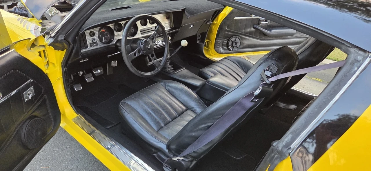 1979 Pontiac Firebird Trans Am 2nd Gen - Image 20 of 21