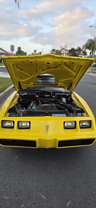 1979 Pontiac Firebird Trans Am 2nd Gen - Image 17 of 21
