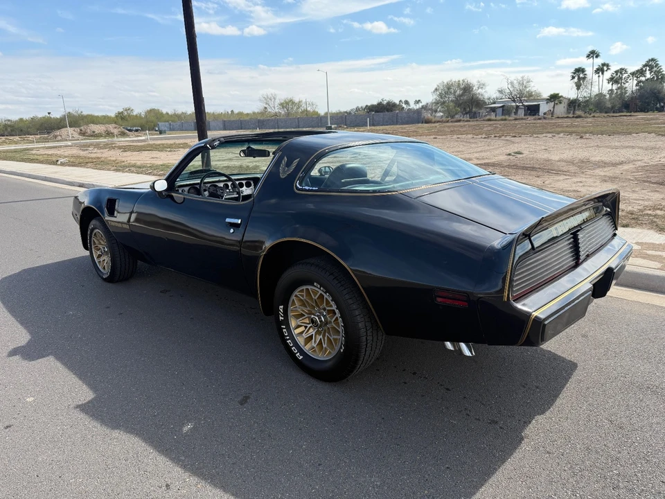 1979 Pontiac Firebird Trans Am 2nd Gen - Image 8 of 21