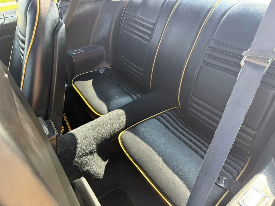 1979 Pontiac Firebird Trans Am 2nd Gen - Image 17 of 21