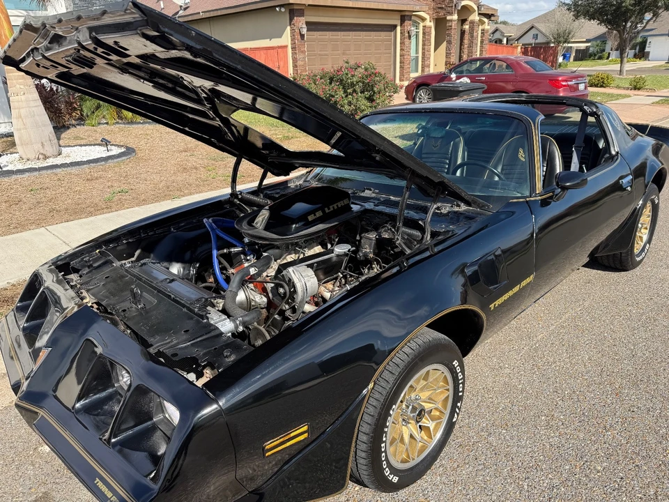 1979 Pontiac Firebird Trans Am 2nd Gen - Image 10 of 21