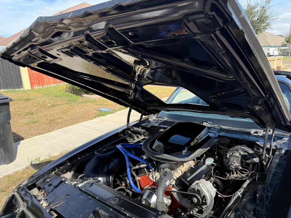 1979 Pontiac Firebird Trans Am 2nd Gen - Image 21 of 21