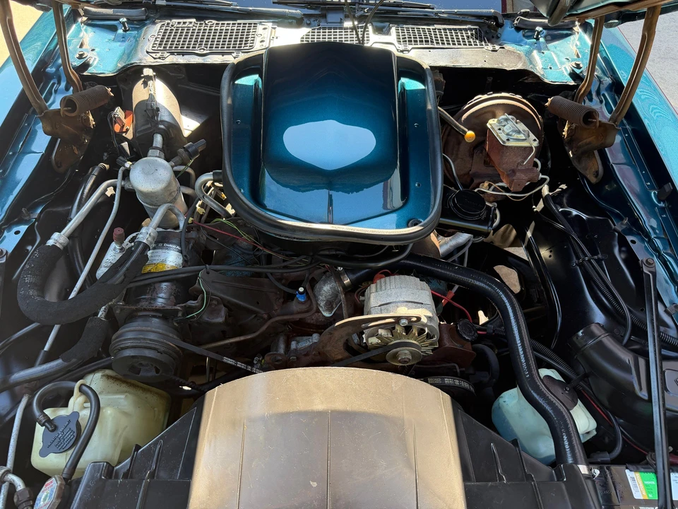 1979 Pontiac Firebird Trans Am 2nd Gen - Image 13 of 14