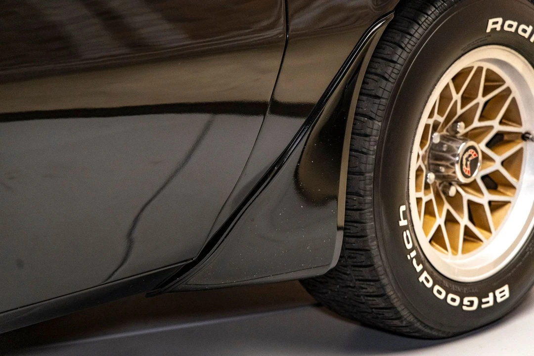 1979 Pontiac Firebird Trans Am 2nd Gen - Image 24 of 24