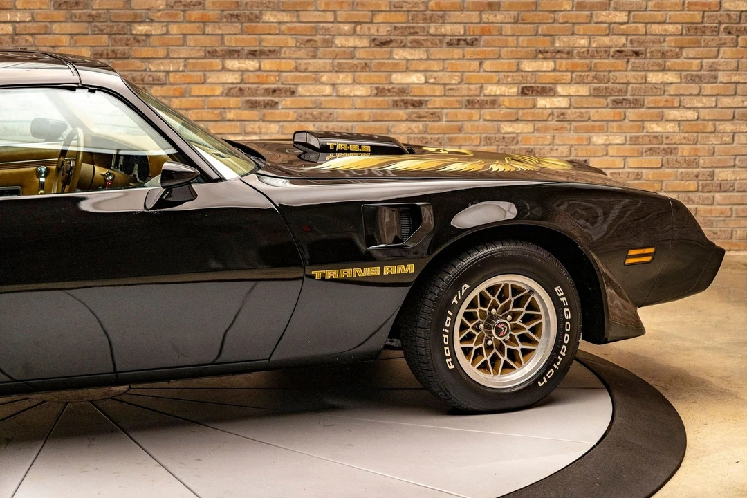 1979 Pontiac Firebird Trans Am 2nd Gen - Image 10 of 24