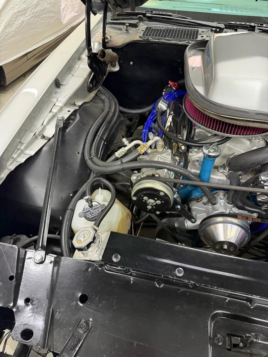 1979 Pontiac Firebird Trans Am 2nd Gen - Image 31 of 31