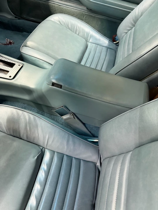 1979 Pontiac Firebird Trans Am 2nd Gen - Image 28 of 31