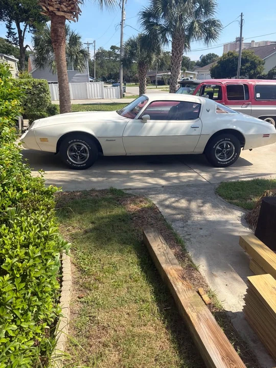 1979 Pontiac Firebird 2nd Gen - Image 11 of 17