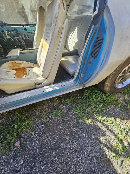 1979 Pontiac Firebird 2nd Gen - Image 8 of 19