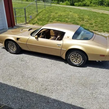 1979 Pontiac Firebird Trans Am