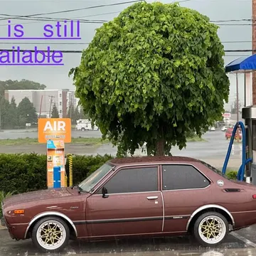 1979 Toyota Corolla