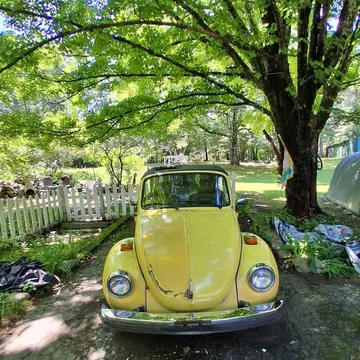 1979 Volkswagen Beetle 1.8T Classic Convertible 2D