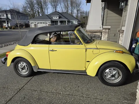 1979 Volkswagen Beetle Base