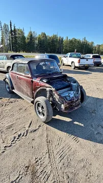 1979 Volkswagen Beetle EFI