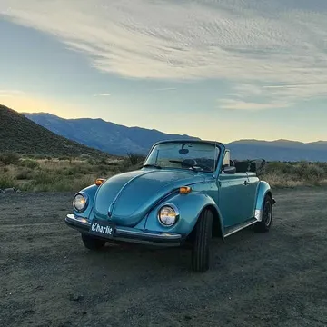 1979 Volkswagen Beetle Turbo Convertible