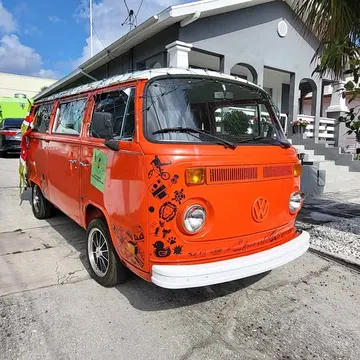 1979 Volkswagen Bus