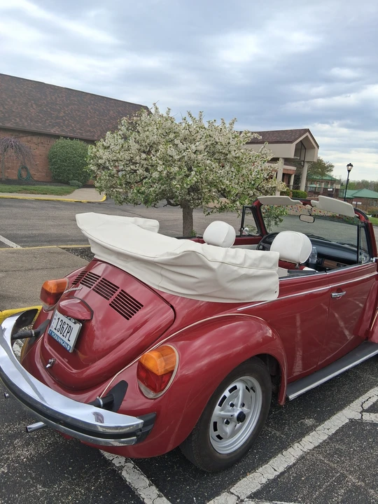 1979 Volkswagen Super Beetle - Image 13 of 31