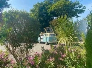 1979 Volkswagen Bay-Window Bus - Image 8 of 30