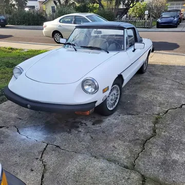 1979 Alfa Romeo Spider