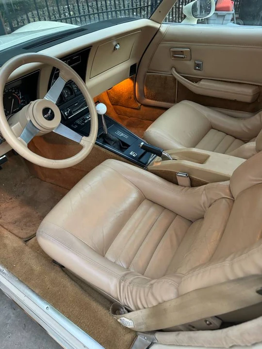 1979 Chevrolet Corvette C3 - Image 10 of 11