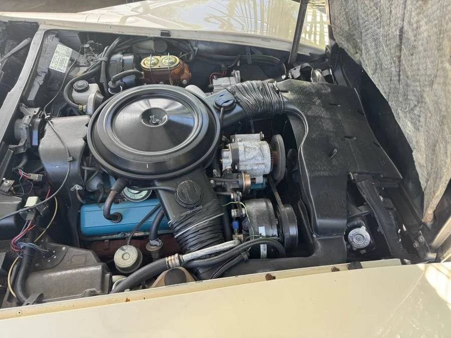 1979 Chevrolet Corvette C3 - Image 11 of 11