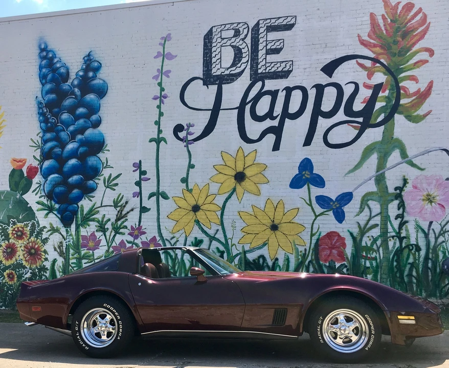 1980 Chevrolet Corvette C3 - Image 1 of 1
