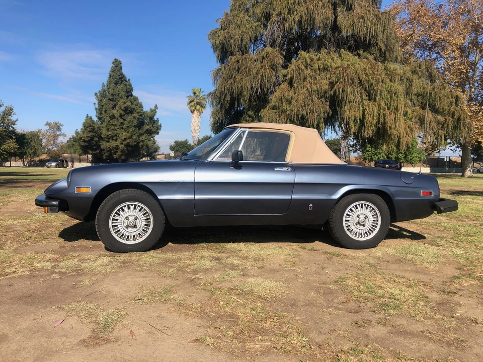 1980 Alfa Romeo Series 2 - Image 5 of 31