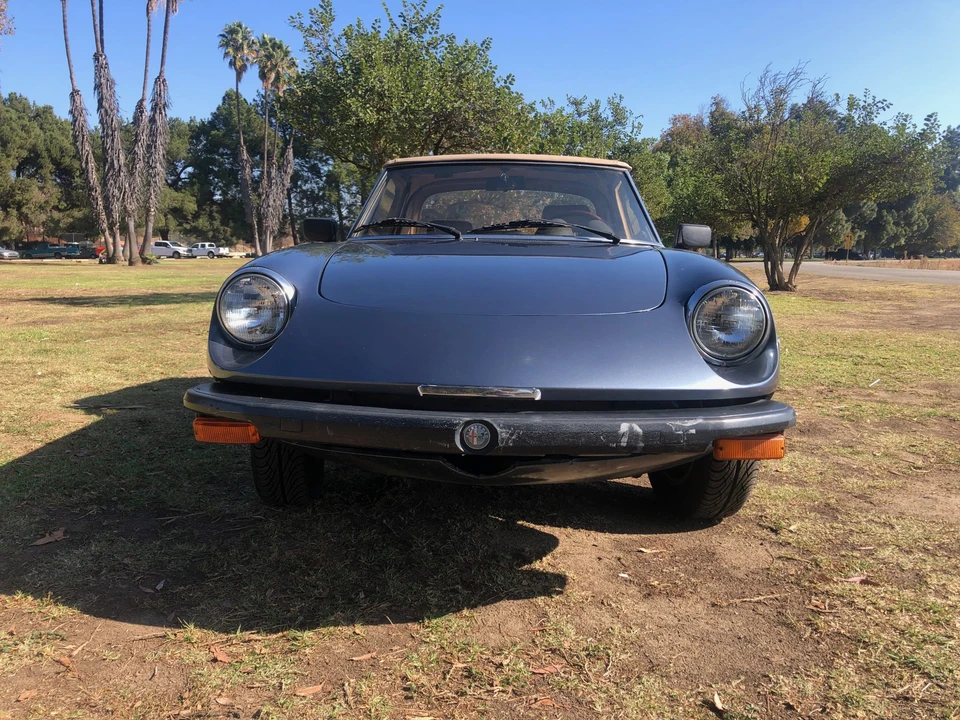 1980 Alfa Romeo Series 2 - Image 2 of 31