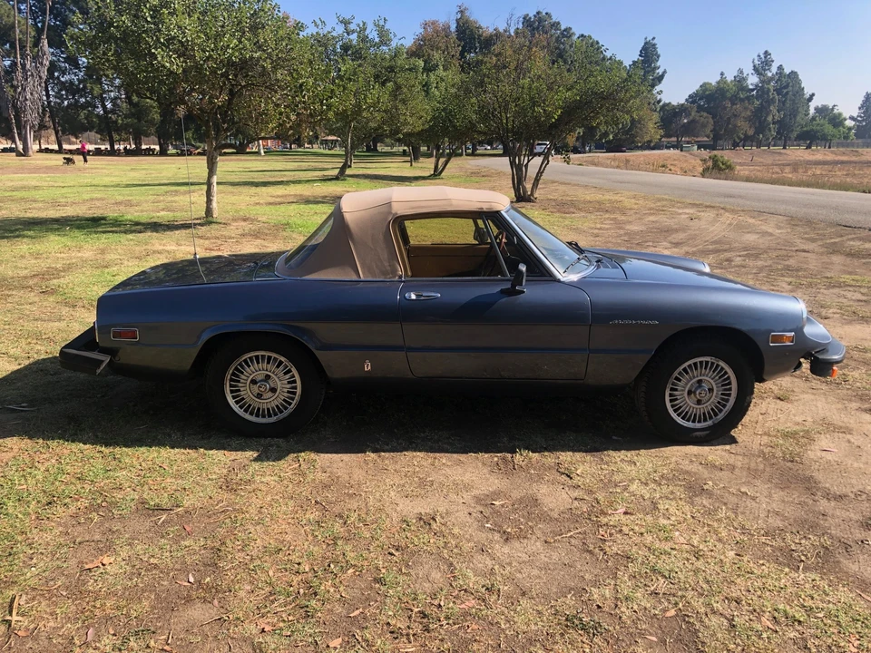 1980 Alfa Romeo Series 2 - Image 19 of 31