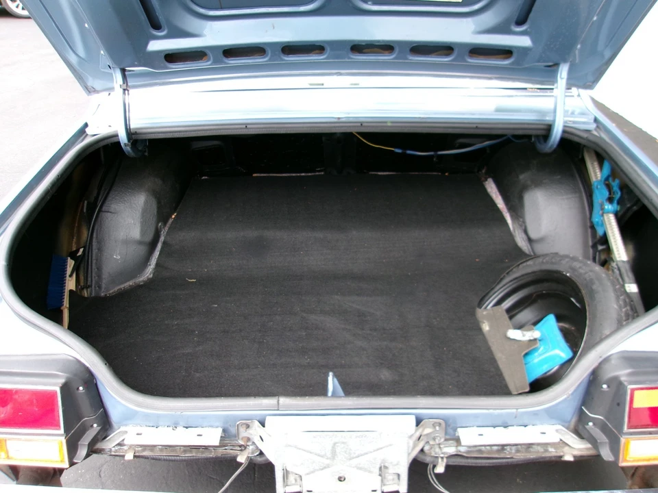 1980 Buick Century - Image 11 of 21
